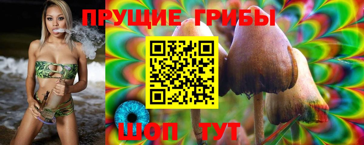 Сегежа  где купить наркотик  Вход с VPN  Галлюциногенные грибы Cubensis 