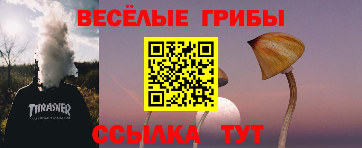 Галлюциногенные грибы MAGIC MUSHROOMS Сегежа